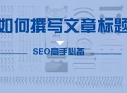 SEO霸屏策略，如何实现网站内容全面覆盖与优化