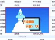 SEO万词霸屏商业模式解析