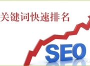 SEO关键词快排软件，提升网站排名的利器