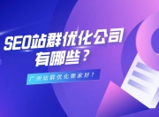 SEO站群，适合做什么？