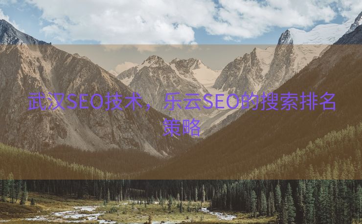 武汉SEO技术，乐云SEO的搜索排名策略