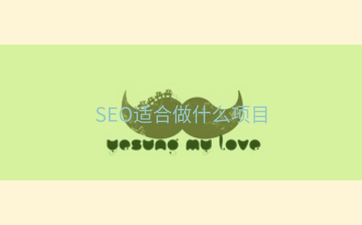 SEO适合做什么项目