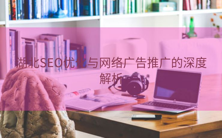 湖北SEO优化与网络广告推广的深度解析