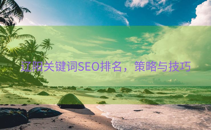 辽阳关键词SEO排名，策略与技巧