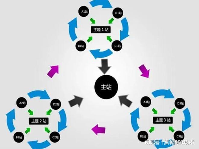 黑帽SEO与寄生虫，深入解析其影响与应对策略的责任