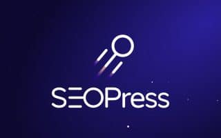 SEO Pro，引领网站优化新时代的专业力量的使用