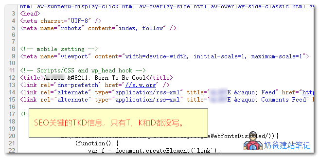 SEO信息查询的重要性与运用的解读