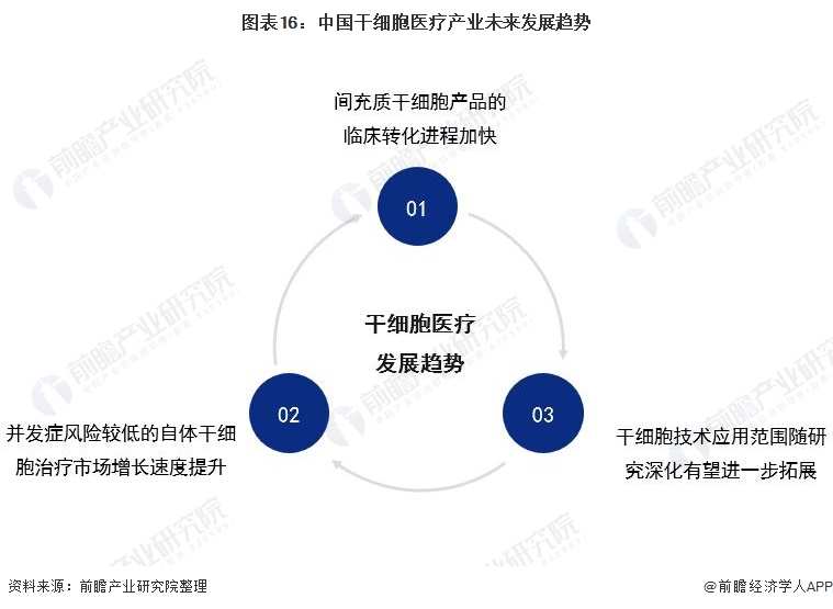 南宁SEO优化电池，市场前景与优化策略的解读