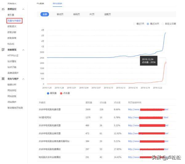 SEO点击与软件开发，提升网站流量与用户体验的双重策略的解读