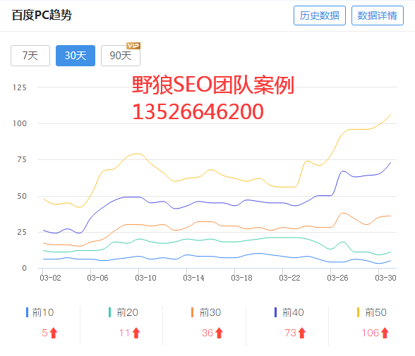 雪狼SEO，引领数字营销的新篇章的解读