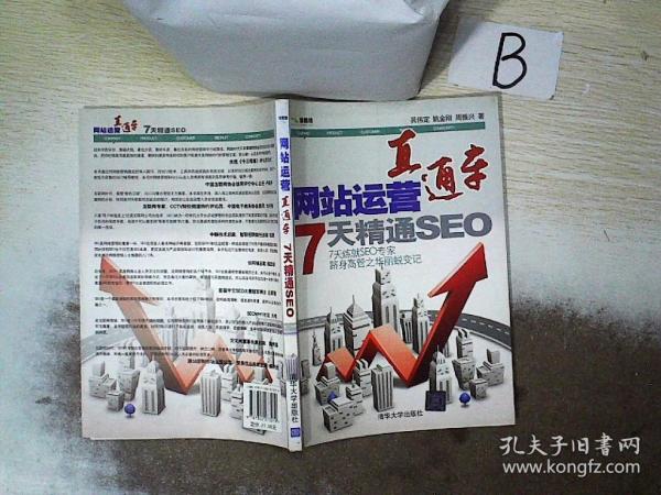 王通SEO教材，掌握搜索引擎优化的关键的风险