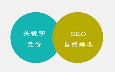 SEO软文案例，从零到一的成功之路的责任