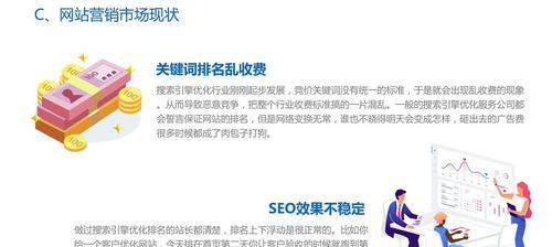 SEO泛解析成功案例，解析如何利用SEO技术实现网站流量飞跃的背景