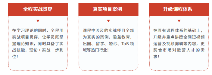 达内培训与SEO网络，共筑数字教育新未来的价值