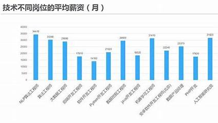 SEO工程师的薪资水平与市场分析的责任