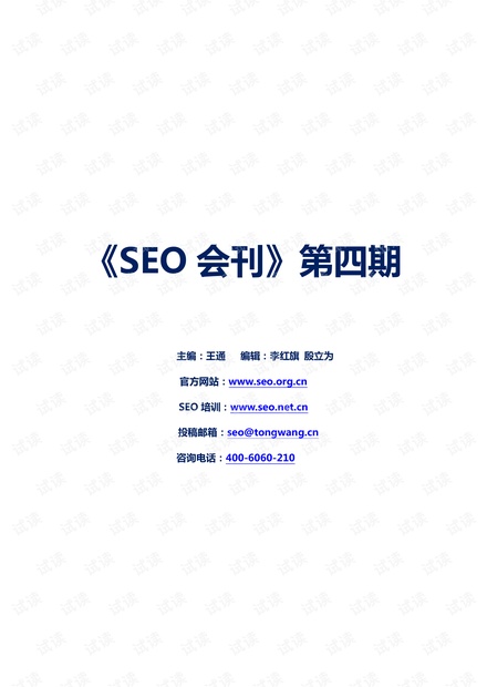 王通SEO电子书，引领数字营销的指南的责任