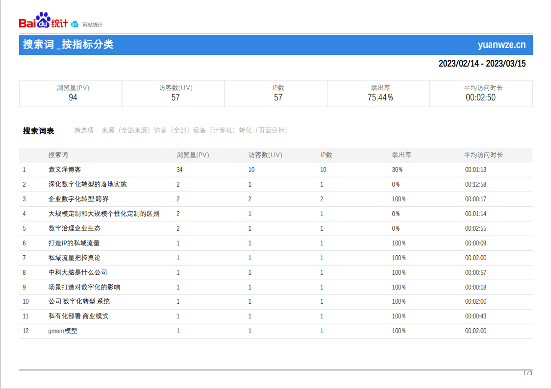 SEO数据报表模板，构建与解读的全面指南的特点