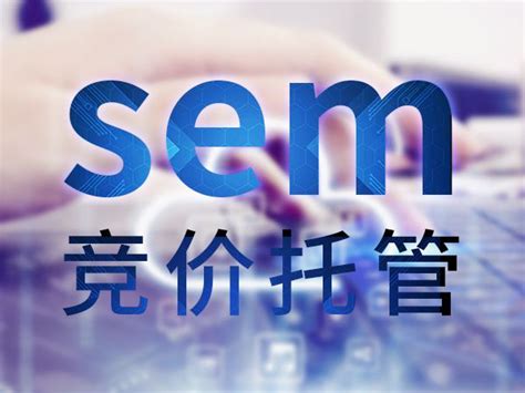 SEO竞价，理解其含义与重要性的探讨