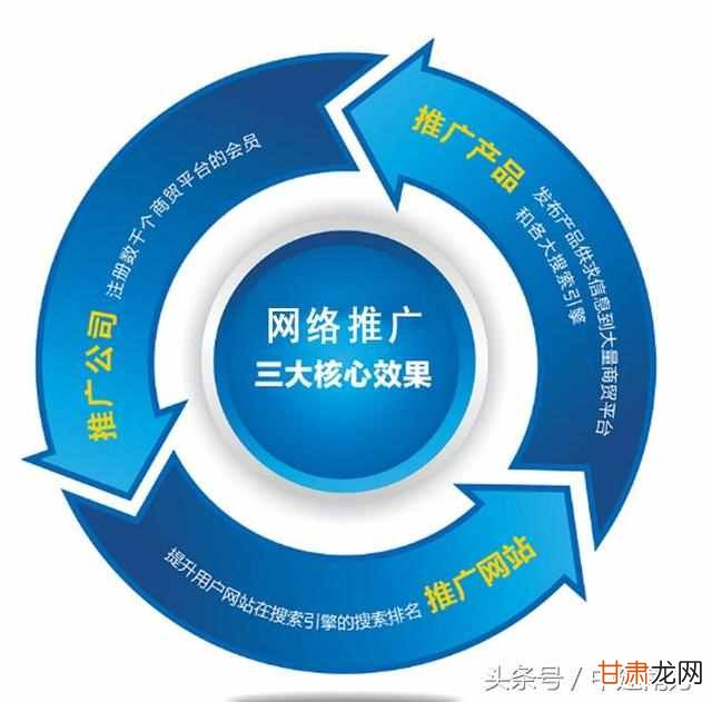 SEO特殊推广，策略、技巧与案例分析的解读