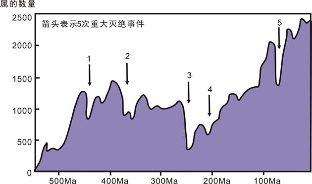 探索历史SEO的奥秘的责任