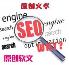 SEO基本步骤，从零开始，提升网站排名的关键指南的解读