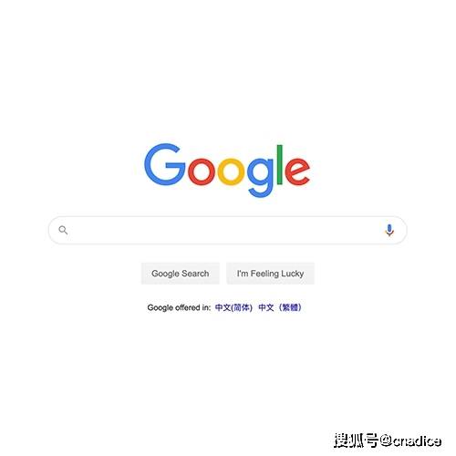 安岳谷歌SEO，提升网站排名的关键策略的真相