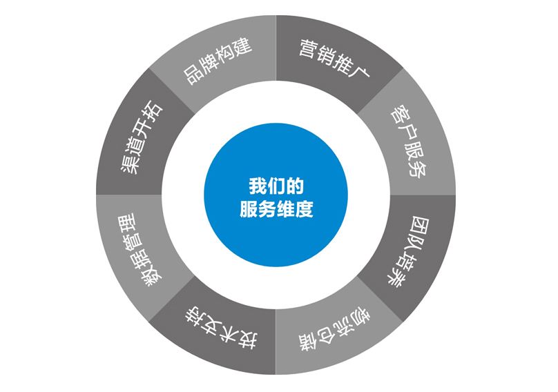 SEO咨询转化，提升网站流量与业务效益的关键策略的特点