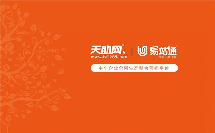 秦皇岛SEO报价，专业服务与价值投资的使用