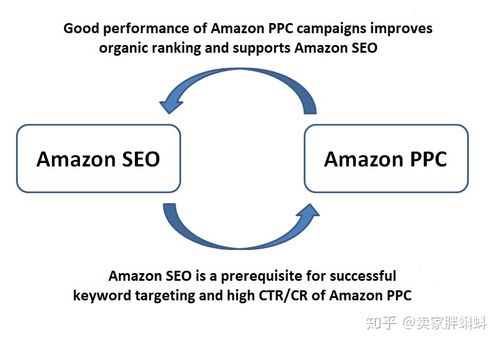 密云亚马逊SEO的深度解析与策略的探讨