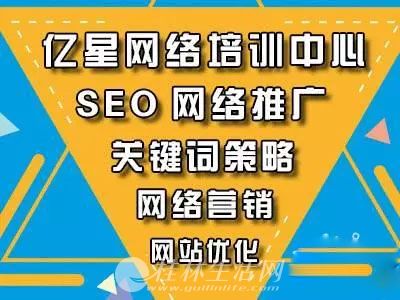 网络教育SEO，优化策略与未来趋势的探讨