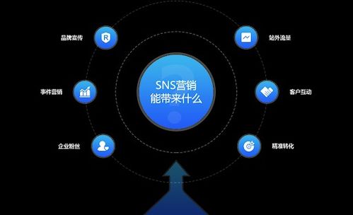 SNS与SEO，网络推广的双重策略的陷阱