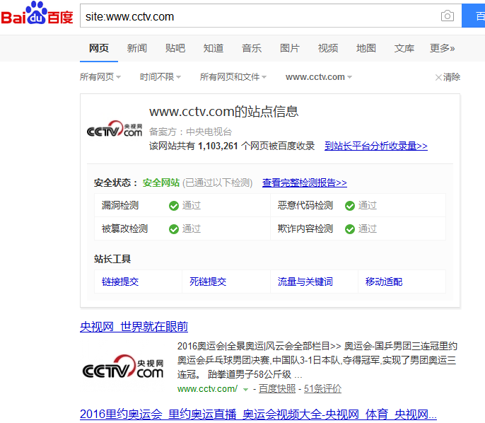 全面解析SEO所有指令的使用