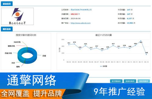 网站SEO优化的成功例子解析的探索