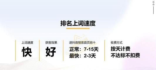 SEO陪跑，引领企业网站流量增长的新模式的风险