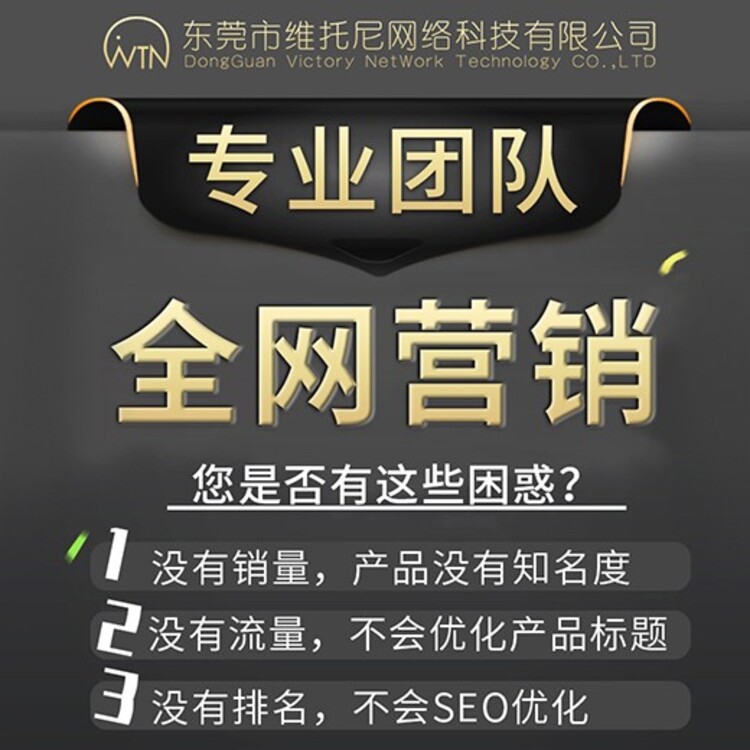 辉县SEO托管，提升网站排名的关键策略的含义