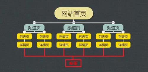 排顶顶SEO，提升网站排名的关键策略的风险