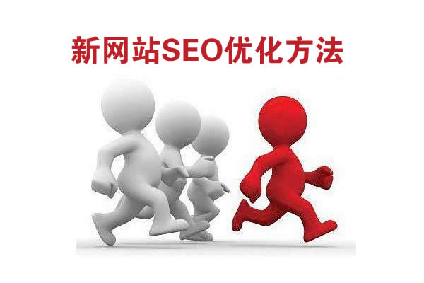 新桥镇SEO优化的策略与实践的真相