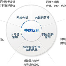 响水SEO优化项目的责任