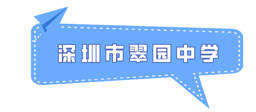 罗湖SEO培训学校，提升网络技能，开启职业新篇章的探索