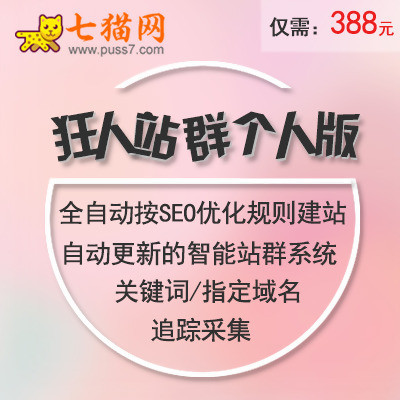 小洋SEO站群，打造高效的网络营销策略的前沿