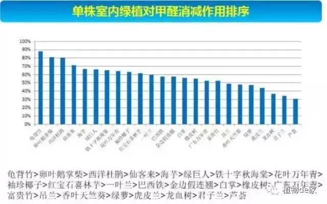 SEO与家居健康并行的吸甲醛方法的警示