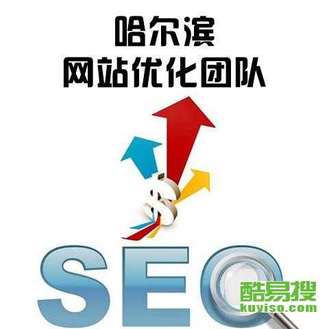 网络SEO推广优化，策略与实践的警示