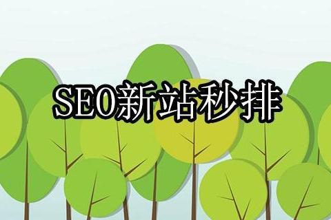 郑州专业SEO优化的重要性及其实践的解读