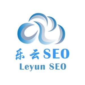 乐从SEO优化公司，引领企业网络推广新篇章的特点