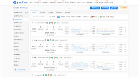 SEO与大数据技能的融合应用的特点