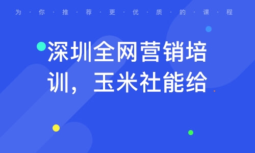 玉米社网络SEO优化策略的探讨