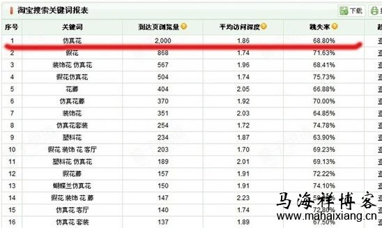 SEO马海洋博客，探索网络优化与博客的完美结合的风险