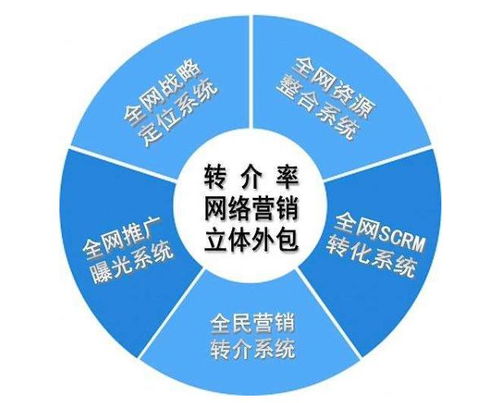 潍坊SEO外包策略，提升企业网络曝光与品牌价值的智慧之选的探索