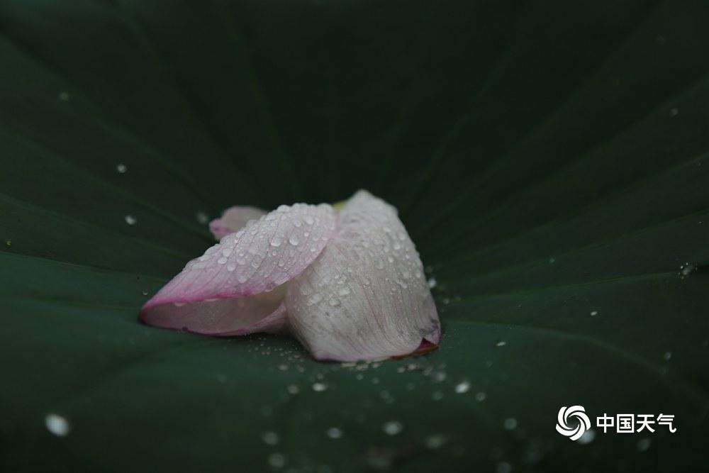 江西贴心SEO优化，提升网站排名的关键策略的使用