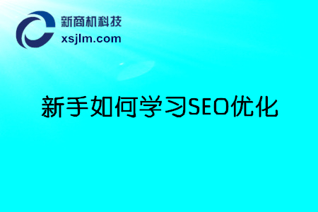 SEO怎么自学优化？的揭秘